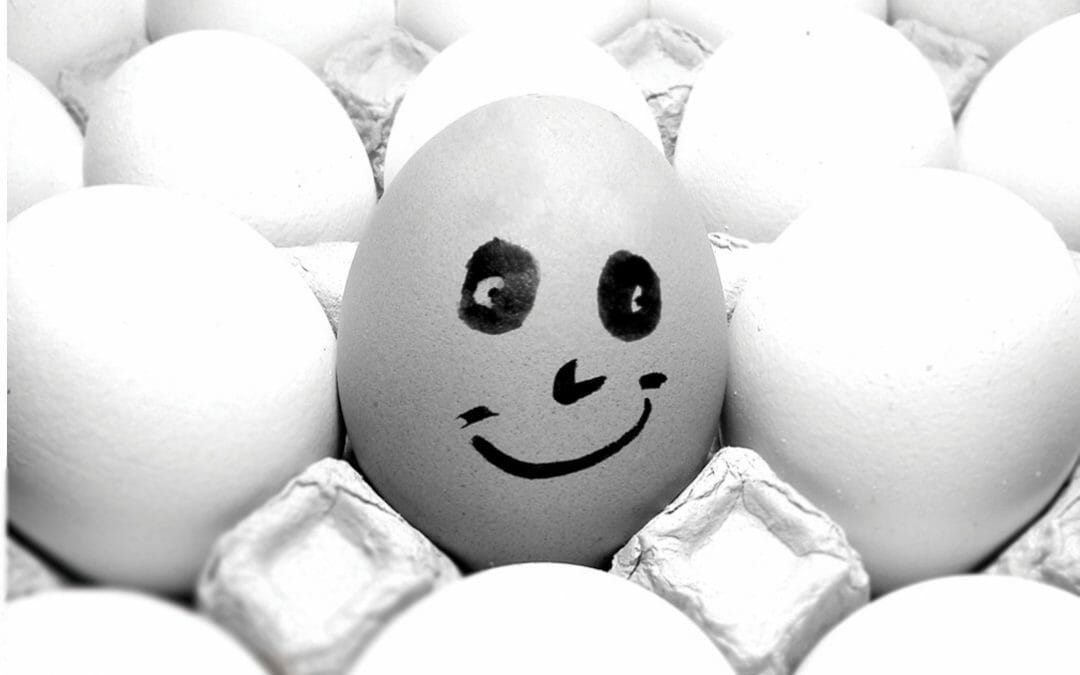 Das Ei – eine kurze Geschichte, die Dein langes Leben verändern könnte