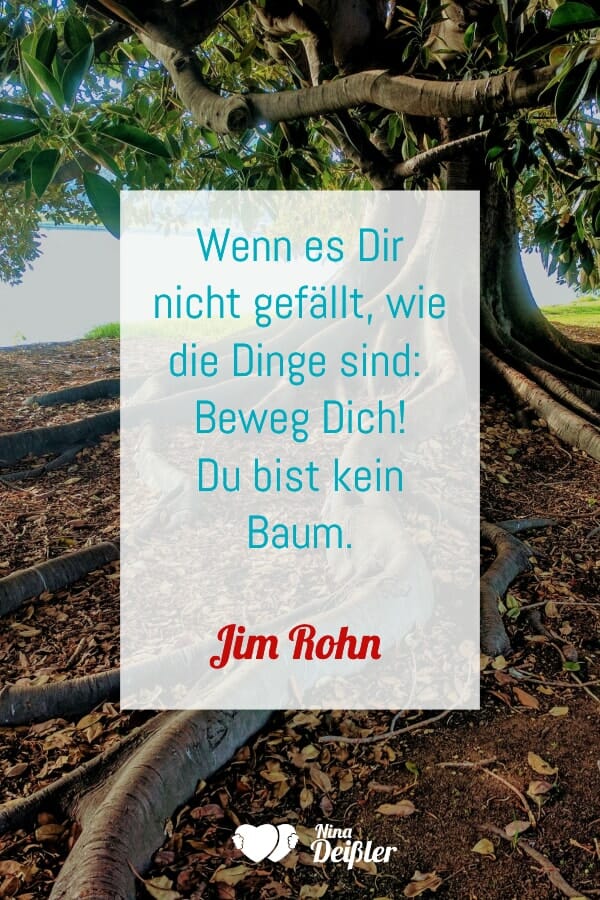 Zitate Nina Deissler Datingcoach Jim Rohn